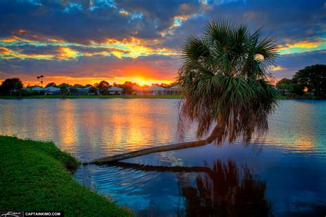 Sunset At Lake Catherine With Palm Tree In Water Hdr Photography By