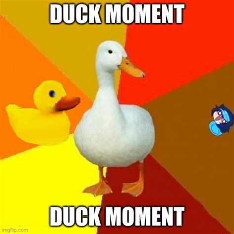Duck Moment Imgflip