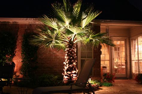 Palm Tree Lighting Palm Tree Lights Tree Lighting Outdoor Lighting