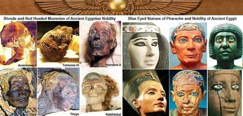 Ancient Egypt Pharaohs Dna