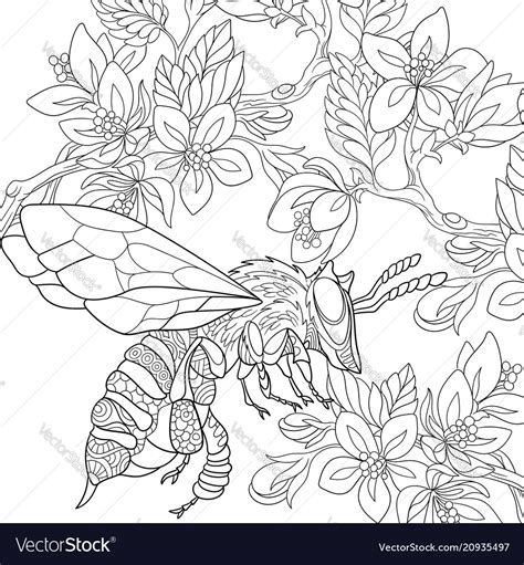 Bee Coloring Page Royalty Free Vector Image Vectorstock