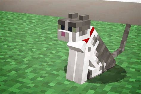 175 Minecraft Cat Names The Ultimate Naming Guide