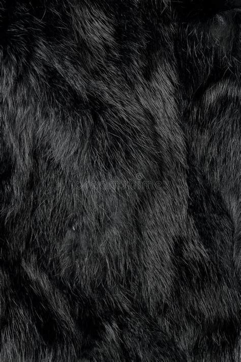 Black Fur Stock Photo Image Of Abstract Background 53912780