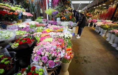 Shanghai Flower Market Hongqiao Best Flower Site