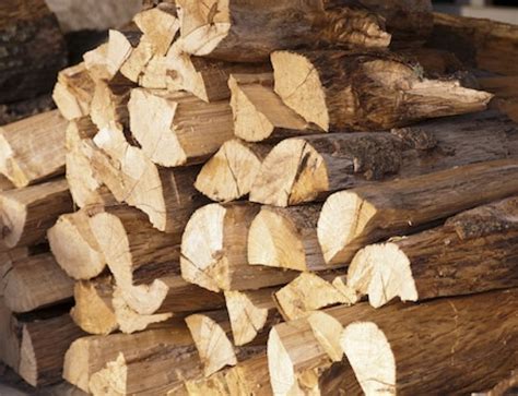 2 Burning Reasons You Need White Birch Firewood
