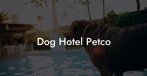 Dog Hotel Petco - Dog Hotels