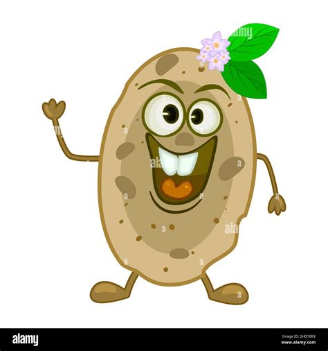 Smiling Funny Potato Isolated On White Background Cute Happy Character