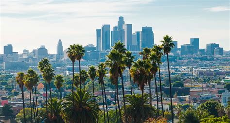 Los Angeles Skyline Aerial Backlit W Palm Trees 000035352024large