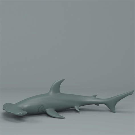 Hammerhead Shark 3d Model 3d Printable Cgtrader