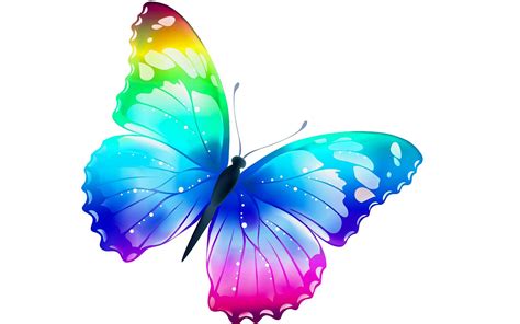 Iphone Rainbow Butterfly Wallpaper Hd