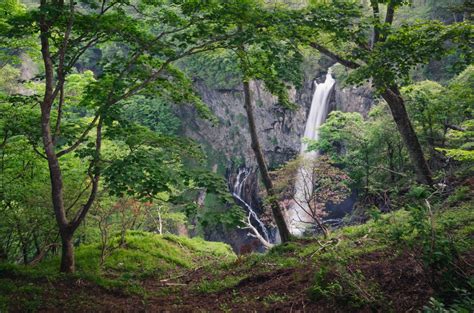 Waterfall In The Woods Les Taylor Photography