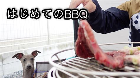 お肉が大好きすぎる犬とbbqしました。~イタリアングレーハウンド~ Youtube