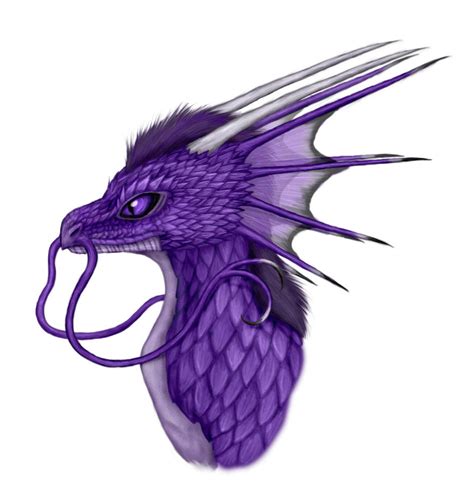 Purple Dragon Profile By Nemoy On Deviantart