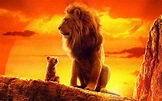 3840x2400 The Lion King 2019 4k Movie 4k HD 4k Wallpapers, Images ...