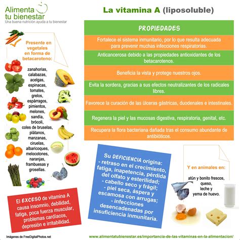 Esta Infografia Recoge Las Propiedades De La Vitamina A Los
