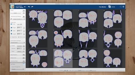 Laser Cutting Cardboard To Make A Human Skull 14 Steps With Pictures