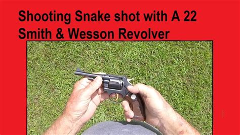 22 Cal S And W Snake Shot And Yellow Head Redsnake Youtube