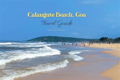 Calangute Beach Goa Know Everything Before You Go