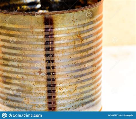Rusty Tin Can With Beautiful Patina Stock Image Image Of Patina