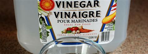 31 Vinegar Uses For Cleaning Purposes Star Domestic Cleaners