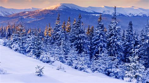 Nature Landscapes Trees Forests Mountains Scenic Winter Snow Seasonal