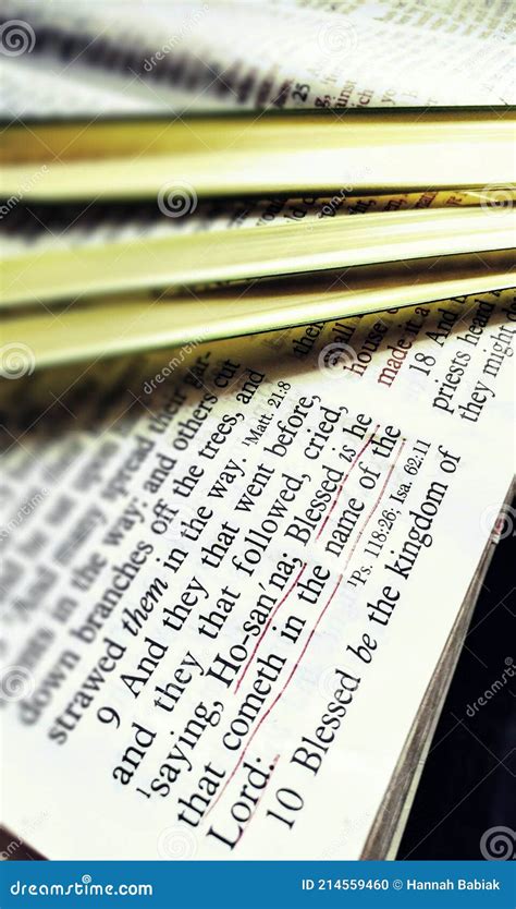 Palm Sunday Mark 119 And Palm Branches Bible Stock Photo Image Of