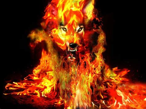 The Curses You Have Been Given Fire Art Wolf Artwork Wolf