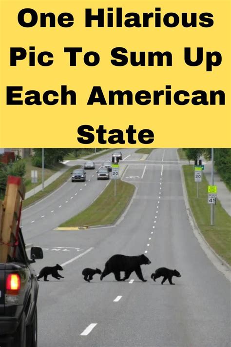 One Hilarious Pic To Sum Up Each American State Funny Pictures