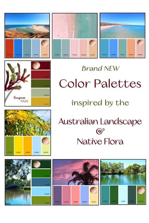 8 Brand New Color Palettes Inspired By The Australian Etsy