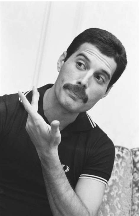 ̗̀ 𝘱𝘪𝘯𝘯𝘦𝘥 𝘧𝘳𝘰𝘮 𝘢𝘷𝘰𝘤𝘢𝘵𝘩𝘰𝘵 ̖́ Queen Freddie Mercury Freddie Mercury