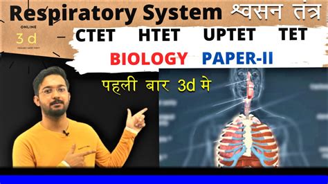 Know About The Respiratory System Ctet Uptet Htet Science Biology