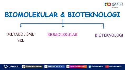 Biologi Bagan Materi 3 BIOMOLEKULAR BIOTEKNOLOGI YouTube