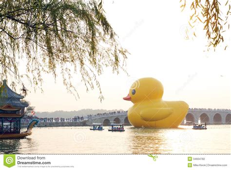 Giant Rubber Duck Debuts In Beijing Editorial Photography Image Of