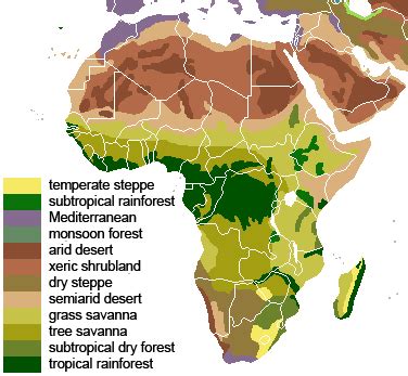 Within a locality in africa, the vegetation zone type that is actualized is solely determined by the impact of four types of vegetation zones in africa and their features. Afrika