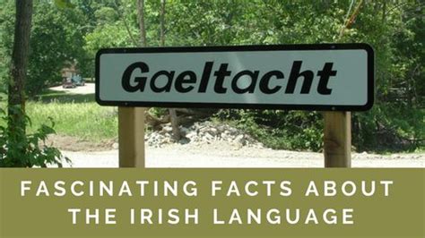 Fascinating Facts About The Irish Language Blarney Blog Irish