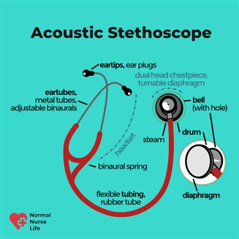 What Is A Stethoscope 1 The Best Thorough Answers For You