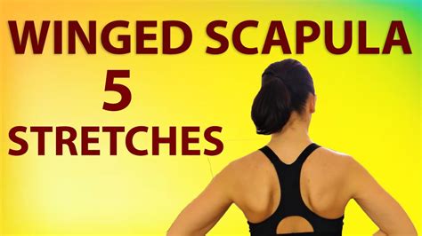 Stretches For Winged Scapula Exercises For Shoulder Blades That Stick Out Youtube