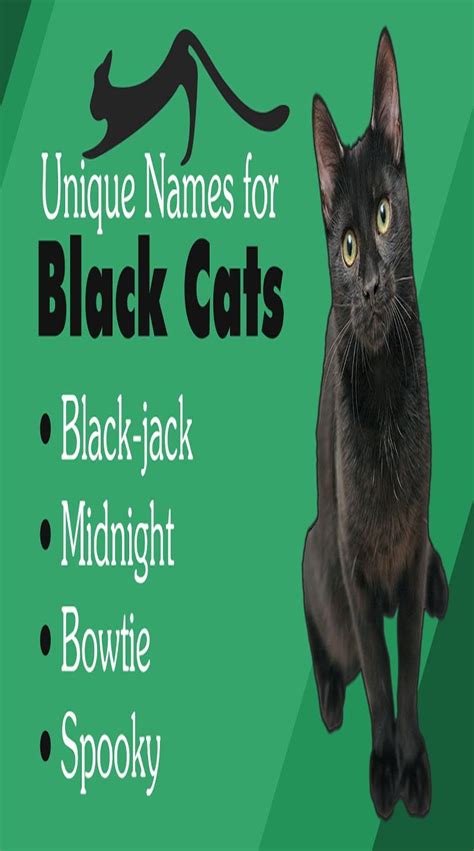Plain Awesome Names For Your Little Bad Ass Black Panther Are As