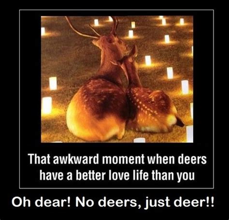 Learn About Deer Very Demotivational Demotivational Posters Very
