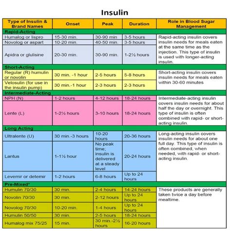 Insulin Guide Cheat Sheet 1 Page Printable Pdf Digital Etsy Singapore