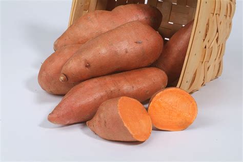 Sweet Potato Variety Descriptions