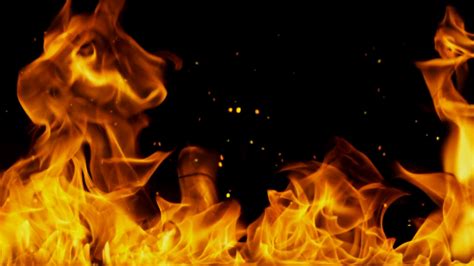 Fire With Burning Embers Rising Against Stock Motion Graphics Sbv