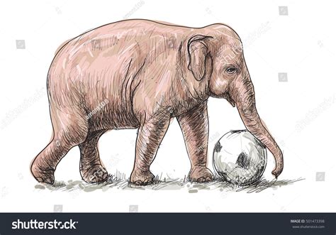 Elephant Playing Football Sketch Free Hand Stock Vector Royalty Free