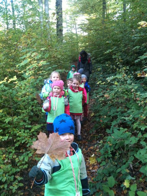5 Activities To Do With Your Kids On A Nature Walk Children First