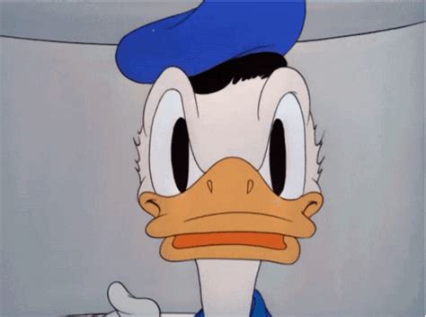 Donald Duck Smirk  Find And Share On Giphy