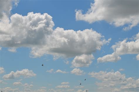 Wallpaper Sky Clouds Blue Horizon Cloud Daytime