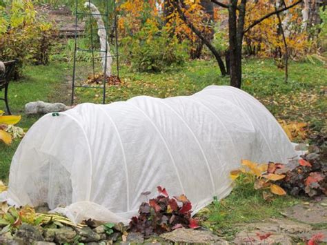 Plant Covers For Winter Hgtv