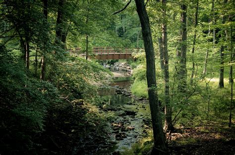 Croydon Creek Nature Center Rockville Md John Brighenti Flickr
