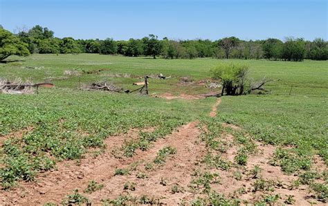 133 acres in wilbarger county texas for sale