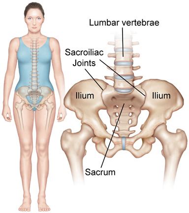 Sacroiliac Joint Syndrome Spine Associates Back To Normal